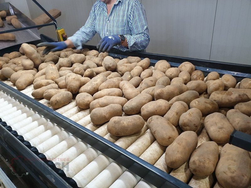 Kartoffellagerungstechnik tip KMK Rollenverlesetisch, Verlesetisch, Verleseband Modell T, Neumaschine in Ehekirchen (Poză 8)