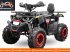 ATV & Quad tip Sonstige nitro motors nitro motors Quad 150cc 4takt, Neumaschine in HARDENBERG (Poză 3)