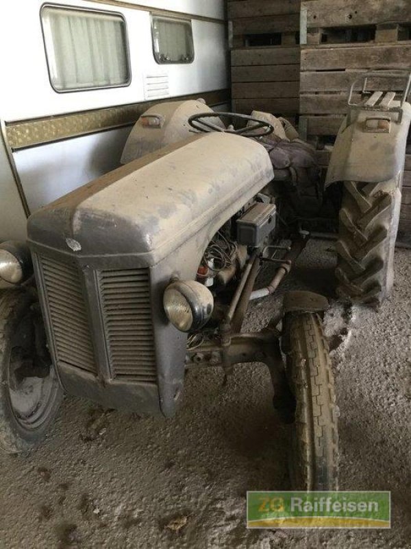 Oldtimer-Traktor tip Massey Ferguson TED, Gebrauchtmaschine in Salem-Neufrach (Poză 1)