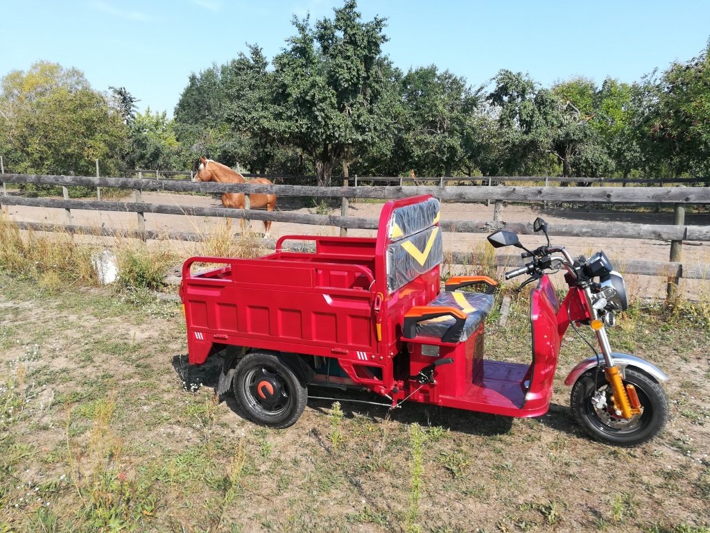 Gator tip Cargo Runner Elektro Lastendreirad, Neumaschine in Sommerach (Poză 23)