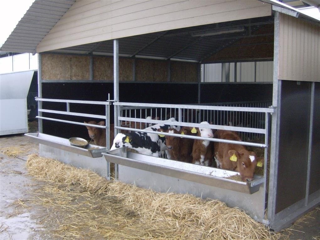 Melkstand tip Agro Kalvehytter fælles, Gebrauchtmaschine in Kjellerup (Poză 6)